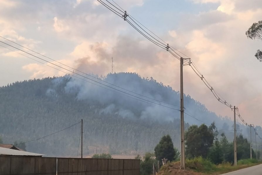 ONEMI DECLARA ALERTA ROJA PARA LA COMUNA DE CAÑETE POR INCENDIO FORESTAL.