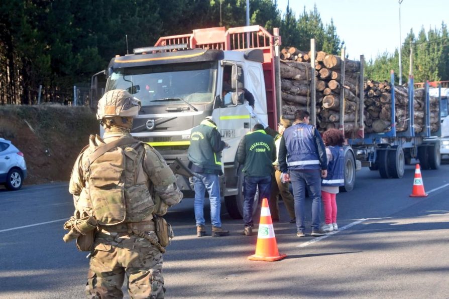 Detenidos por robo de madera aumentan en la Provincia de Arauco en 2023