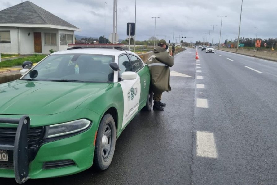 Fiestas Patrias 2023: accidentes de tránsito disminuyeron un 62% en la Provincia de Arauco