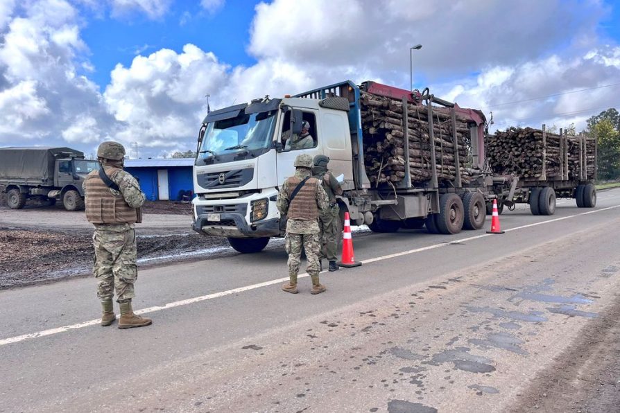 Detenidos por robo de madera llegó a 204 el año pasado y aumentó un 127% respecto a 2022