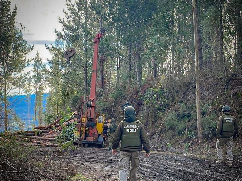 Desde 2021 se han detenido a más de 400 personas por sustracción de madera en la provincia de Arauco