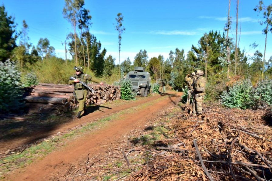 Ley de sustracción de madera: provincia de Arauco registra 48 personas condenadas y 302 detenciones en tres años